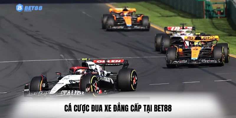 Cá cược đua xe đẳng cấp tại Bet88