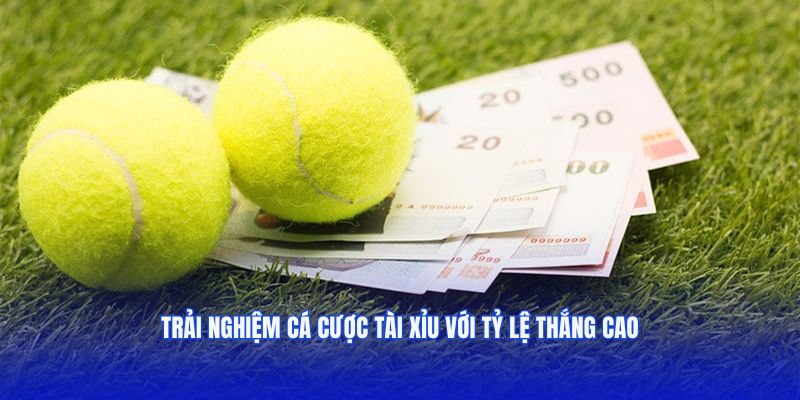 Trải nghiệm cá cược Tài xỉu với tỷ lệ thắng cao