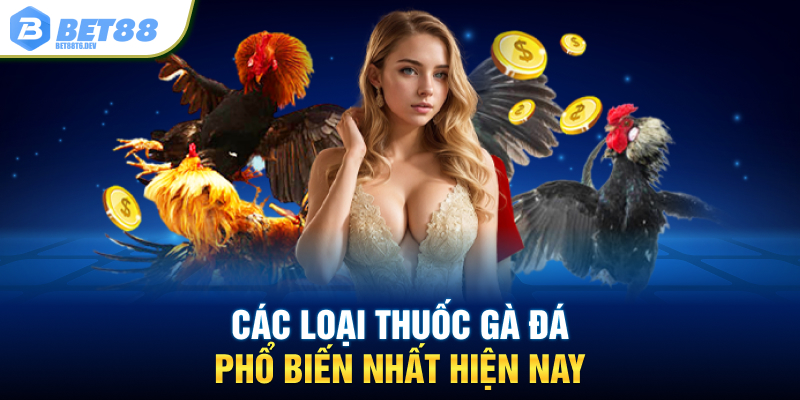 Các loại thuốc gà đá phổ biến nhất hiện nay
