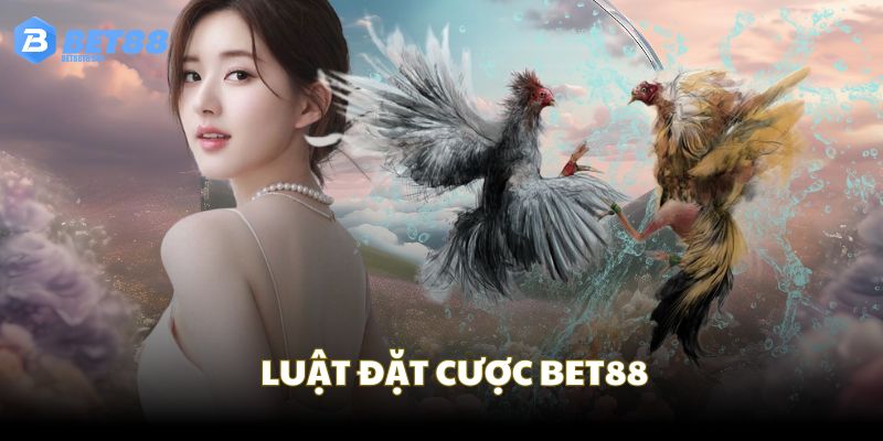 Quy tắc đặt cược khi tham gia đá gà Bet88