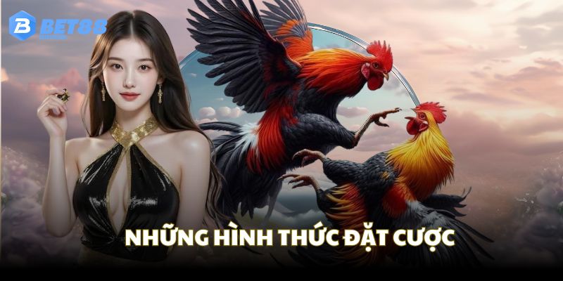 Những hình thức tham gia đặt cược tại sảnh chọi kê