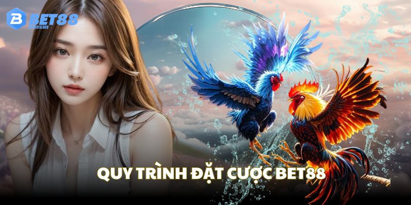 Quy trình đặt tiền chuẩn nếu muốn tham gia đá gà Bet88