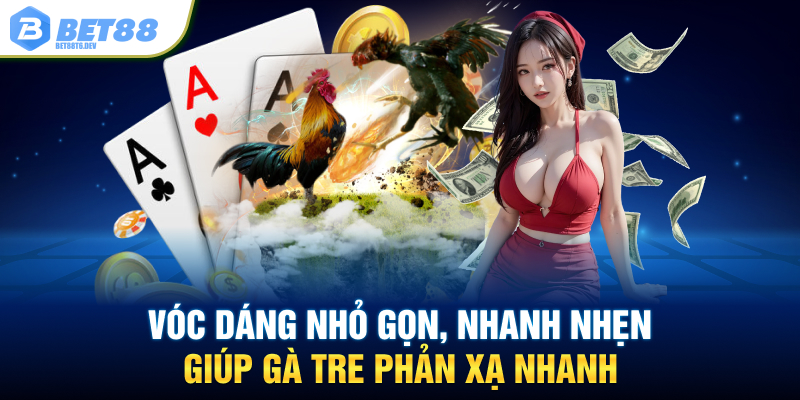 Vóc dáng nhỏ gọn, nhanh nhẹn giúp gà tre phản xạ nhanh