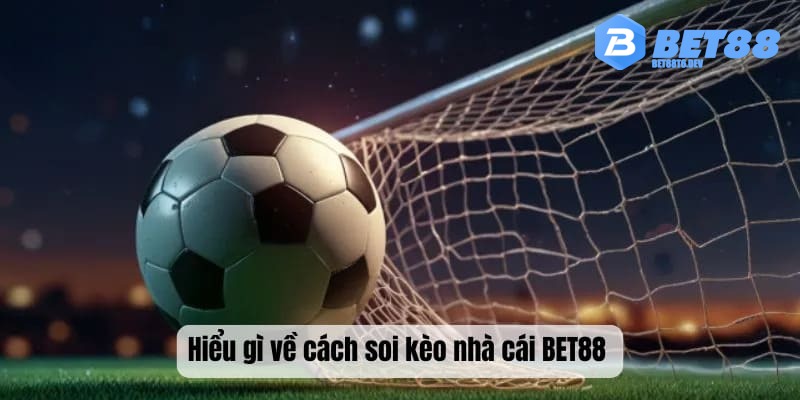 Hiểu gì về cách soi kèo nhà cái BET88 