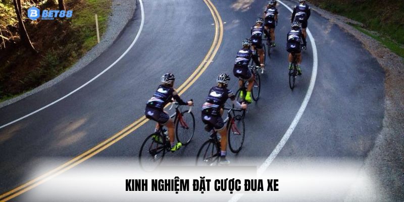 Mẹo cá cược đua xe giúp bạn thắng lớn trong 1 phút