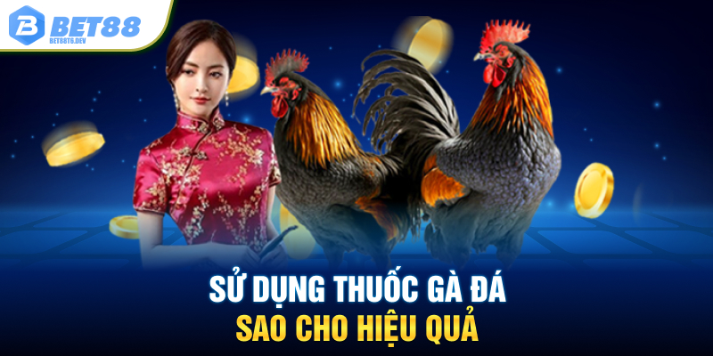 Sử dụng thuốc gà đá sao cho hiệu quả